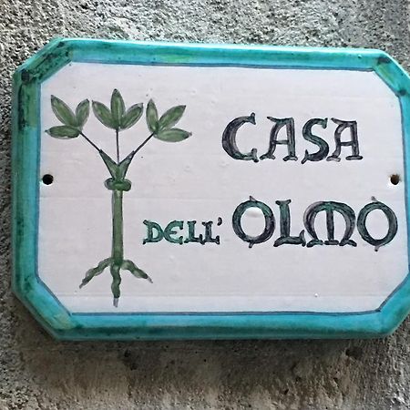 Apartament Casa Dell'Olmo Orvieto Zewnętrze zdjęcie