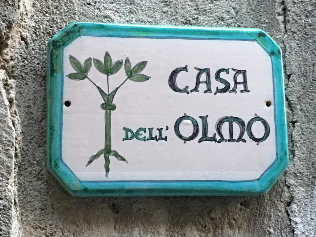 Apartament Casa Dell'Olmo Orvieto Zewnętrze zdjęcie