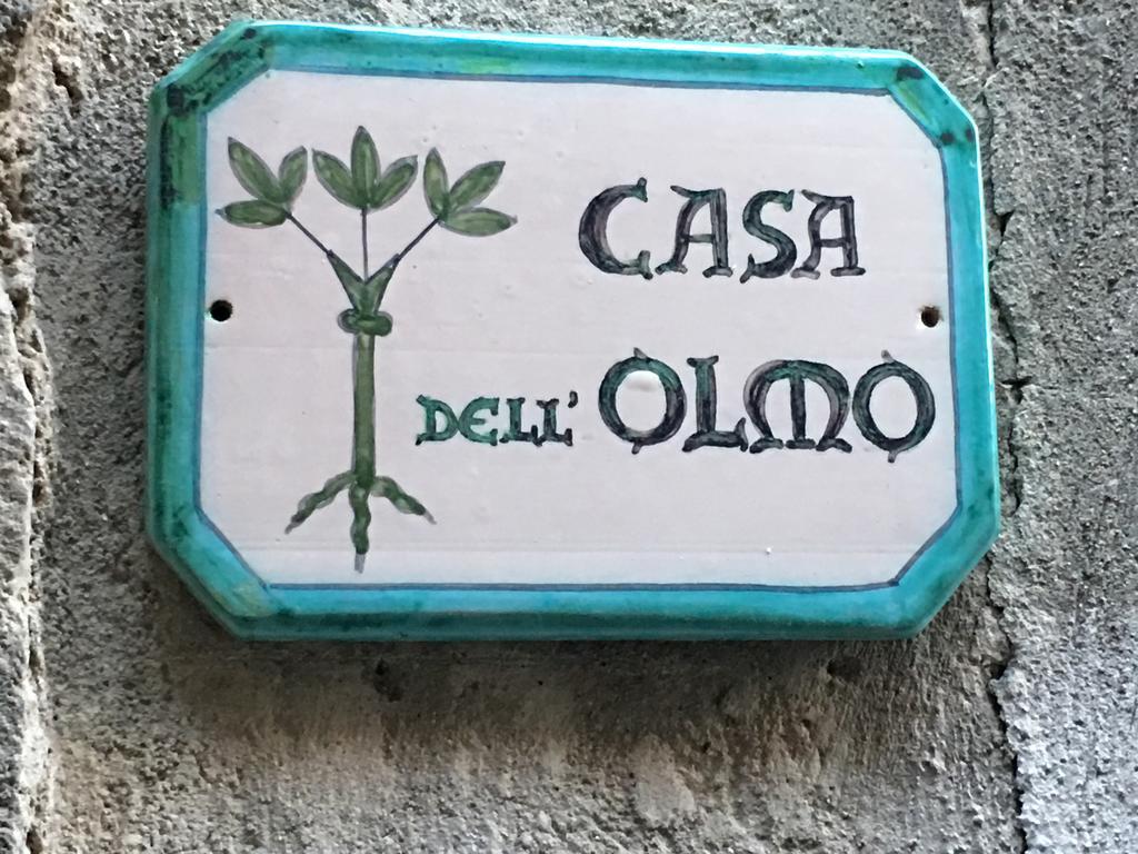 Apartament Casa Dell'Olmo Orvieto Zewnętrze zdjęcie